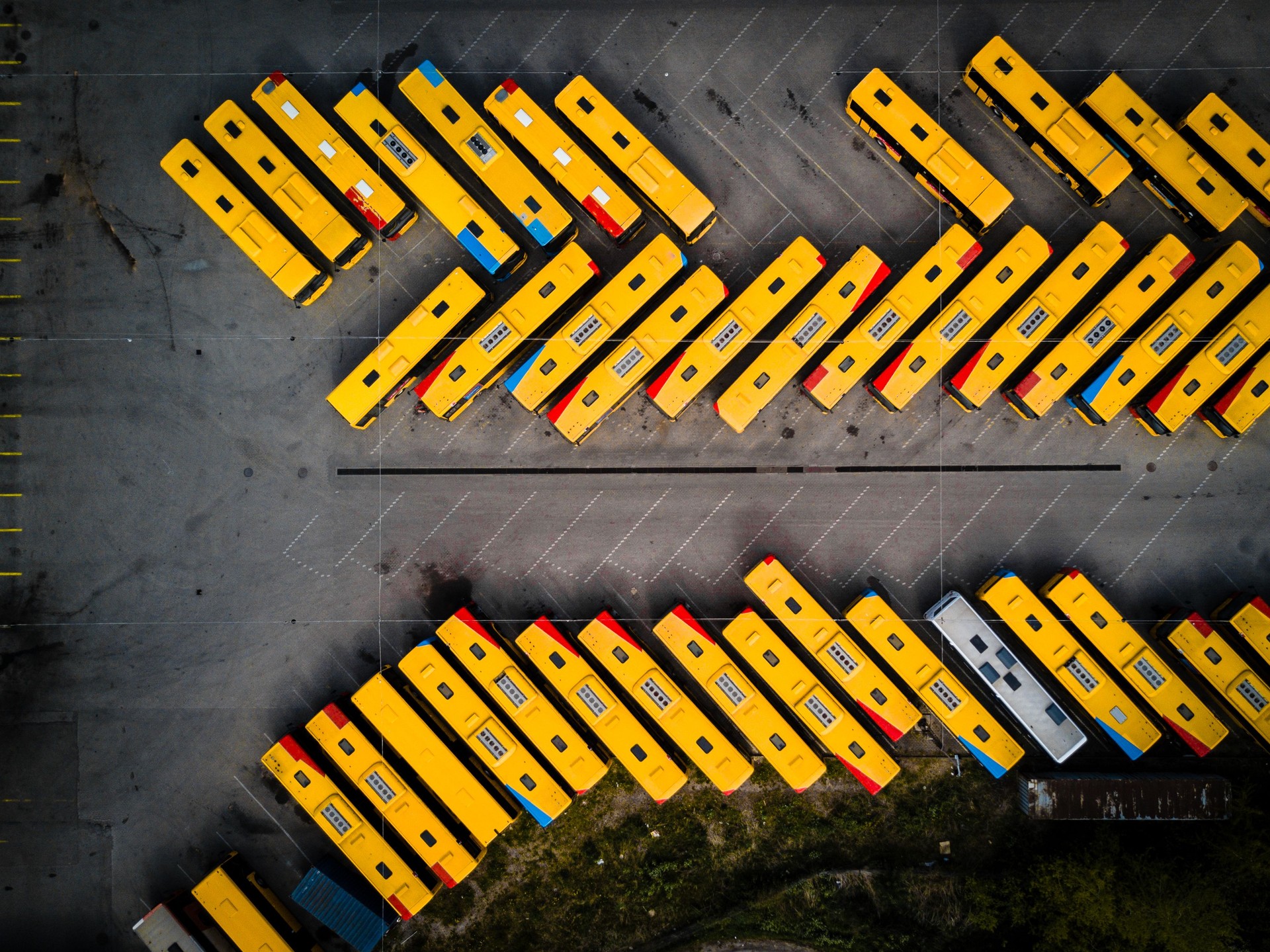 Yellow busses